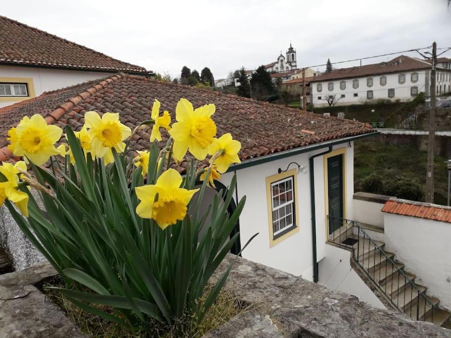 Casa Da Ponte, Coja Bed & Breakfast Exterior photo